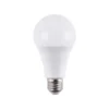 SCREW BULBS
